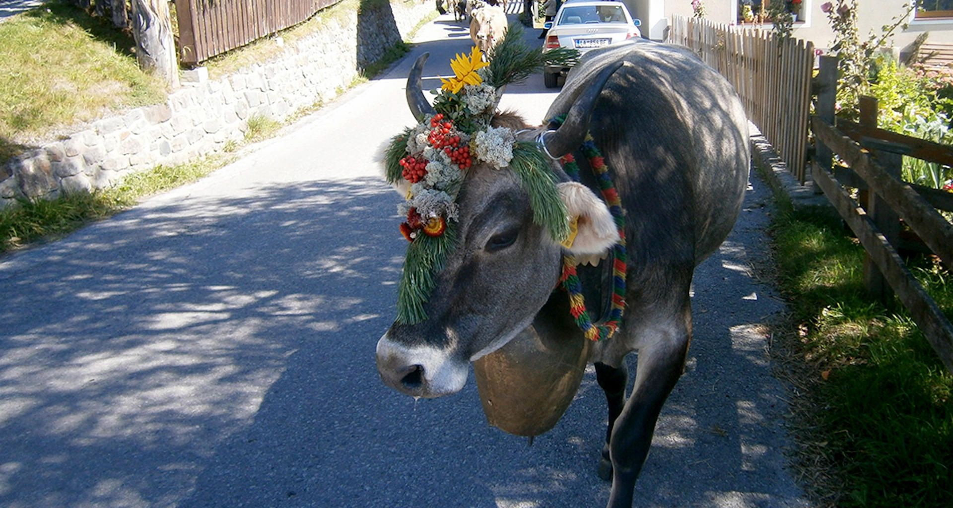 Urlaub am Bauernhof - Tirol - Kaunertal